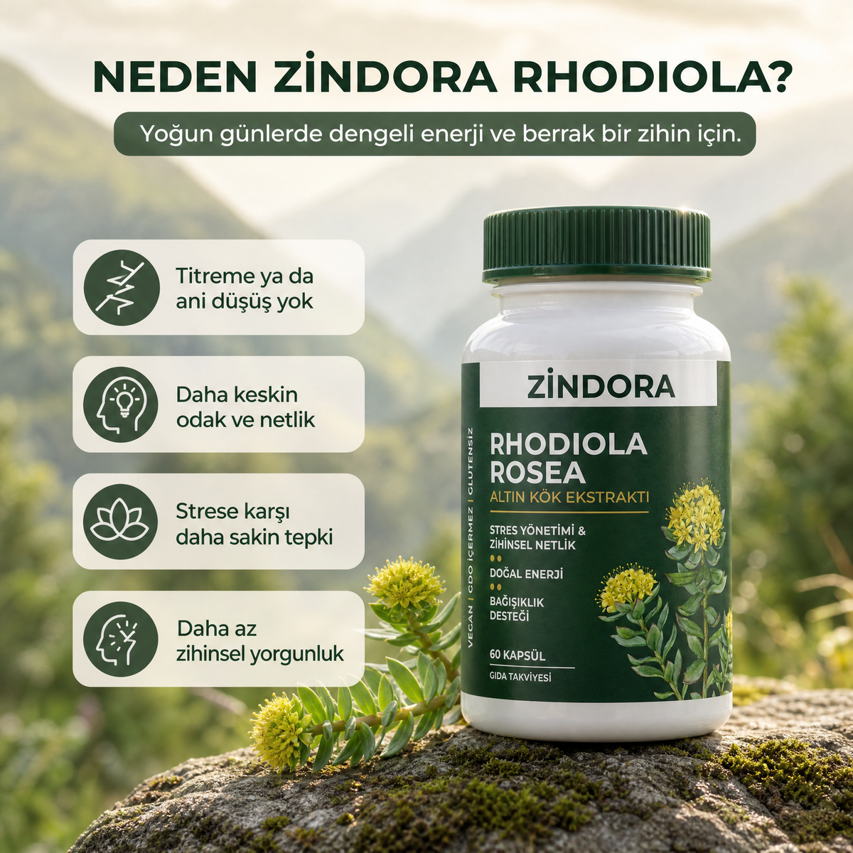 Zindora Rhodiola Rosea Kapsül